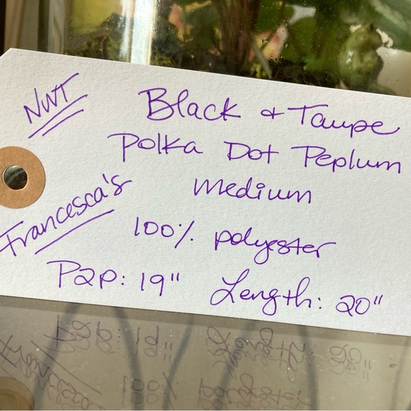 Francesca’s Black and Taupe Polka Dot Sheer Peplum Cropped Top Size Medium. - Picture 6 of 6